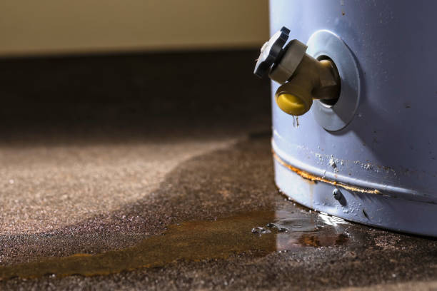 Best Flood restoration services  in Liberty, KY