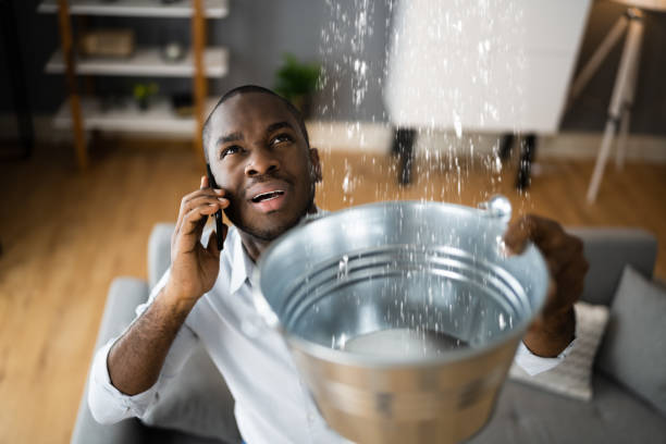 Best Basement water damage restoration  in Liberty, KY