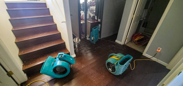 Reliable KY Water damage restoration Solutions