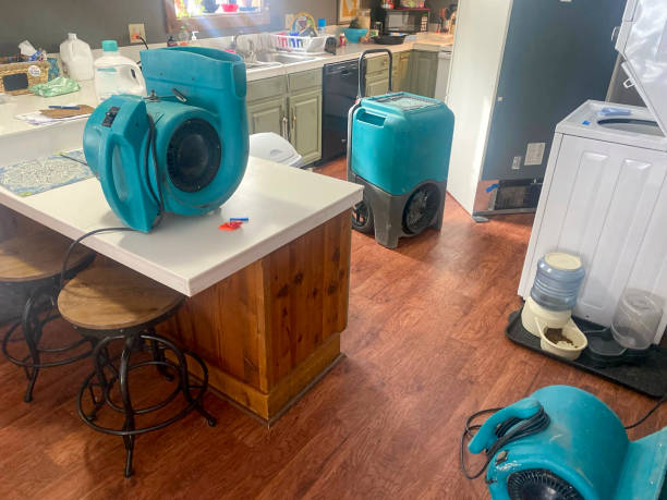Best 24-hour water damage restoration  in Liberty, KY