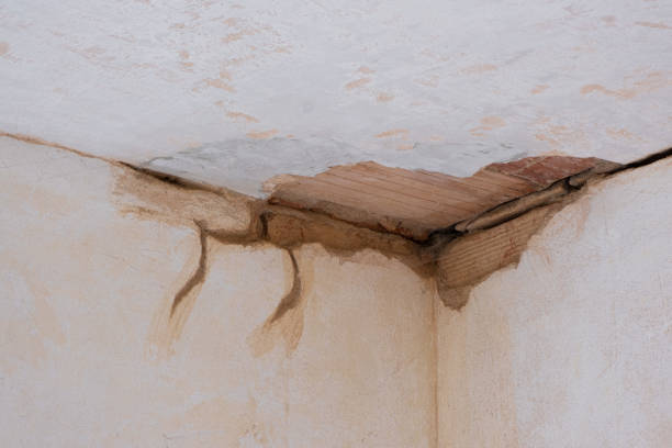 Trusted KY Water damage restoration Experts