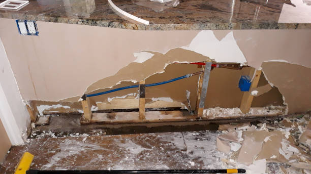 Best Water damage cleanup near me  in Liberty, KY
