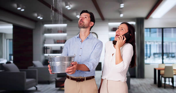Best Water damage contractors near me  in Liberty, KY