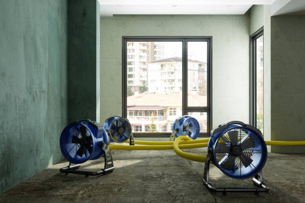 Best Residential water damage restoration  in Liberty, KY